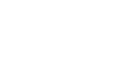 Why Pakistani Mangoes Are in High Demand Worldwide