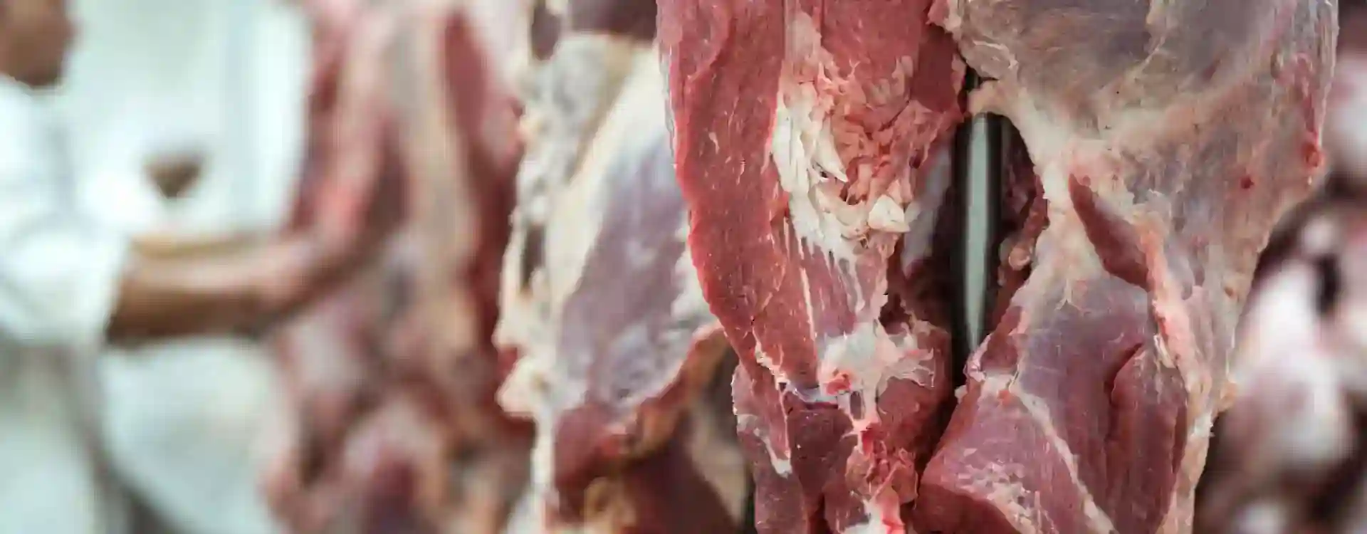 Clean Halal Beef & Mutton for Export