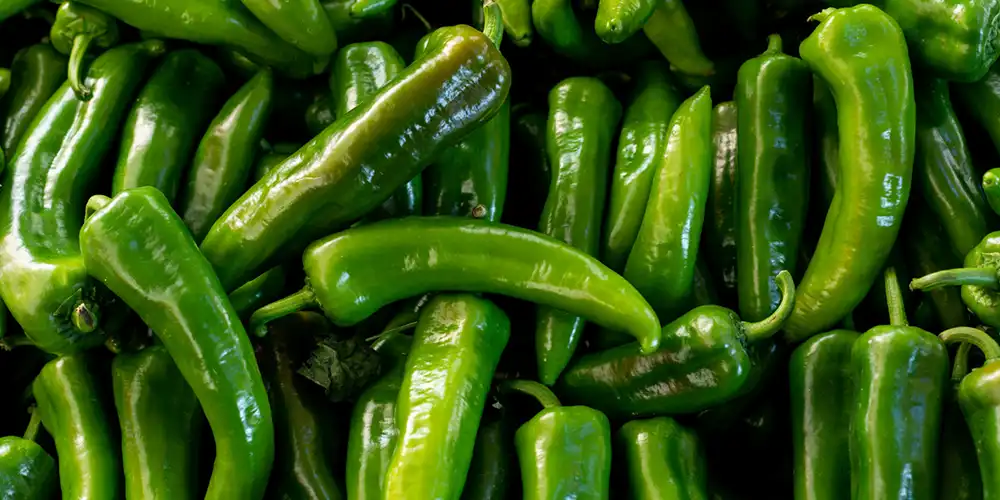 Green Chillies