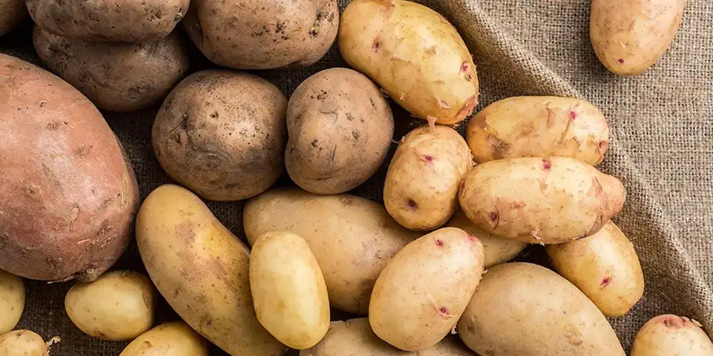 Potatoes