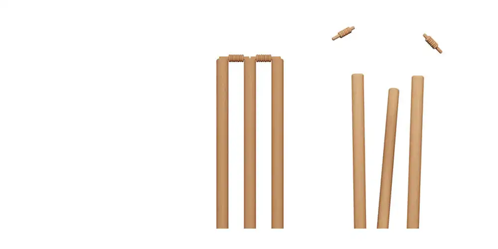 Wicket Stumps