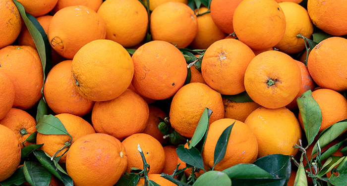 Kinnow Orange Export from Pakistan – Complete Guide